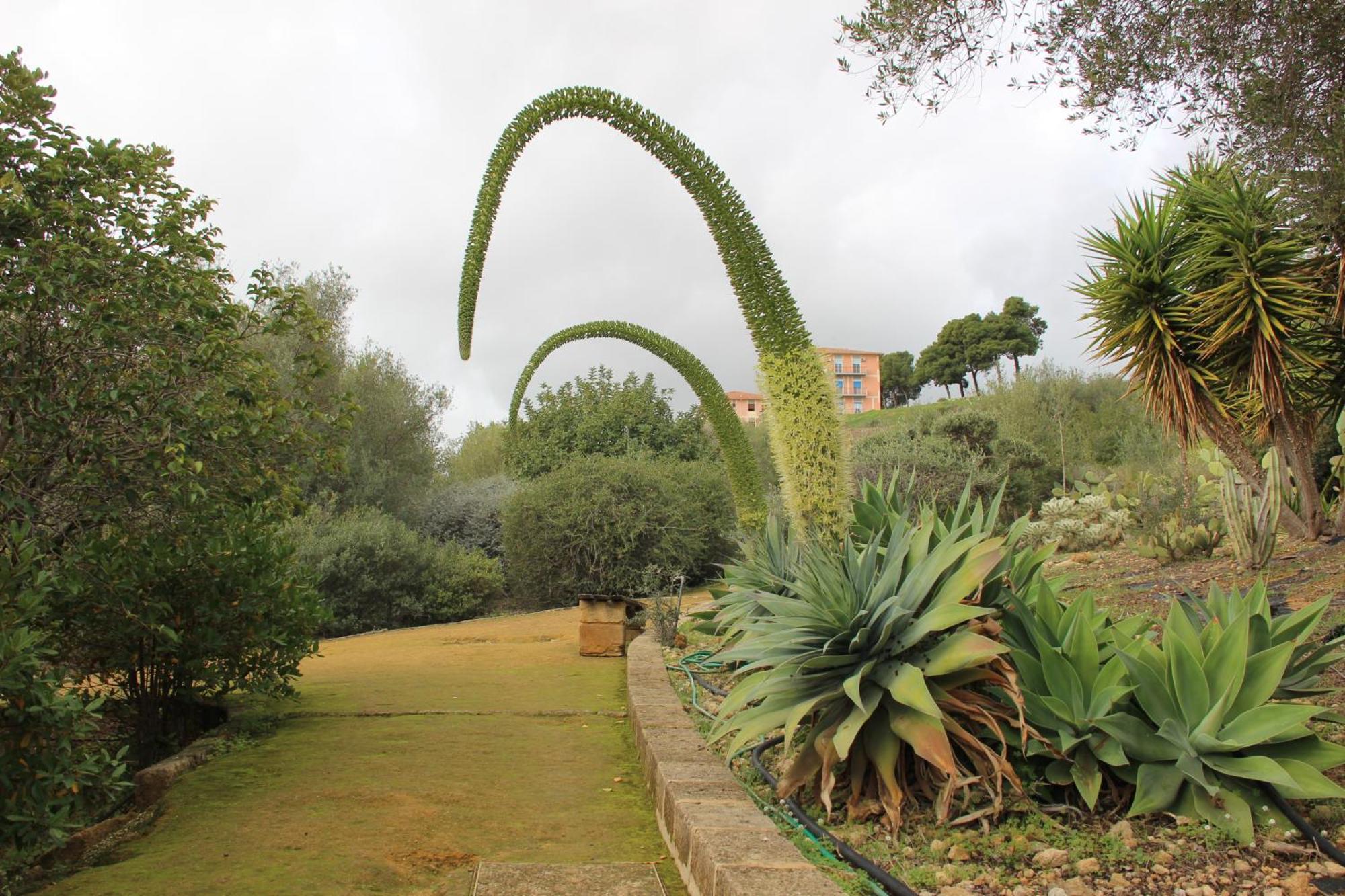 B&B Villa Adriana ซานเลโอเน ภายนอก รูปภาพ
